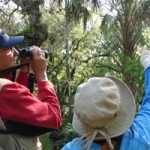 audubon membership