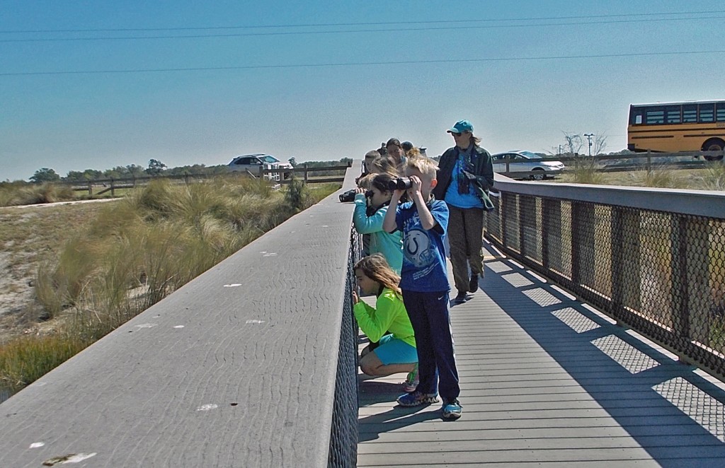 Celery Fields Explorers Program Sarasota Audubon Sarasota, Florida