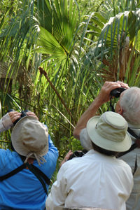 audubon membership