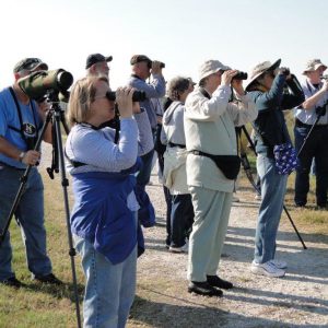 Crowds of people using binoculars image