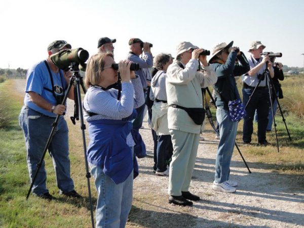 Crowds of people using binoculars image