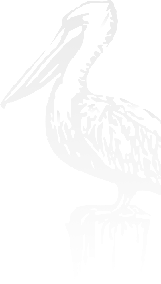 Decorative background stencil of pelican