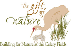 The Gift of Nature, building for nature at the celery fields image