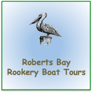Stencil pelican image with words "Robert Bay Rookery Boat Tours"