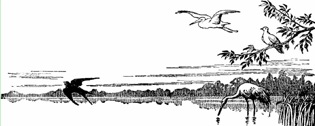 WingingGapPicture Stencil image of pond with various birds