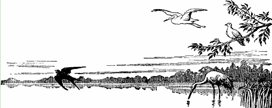 Stencil image of pond with various birds