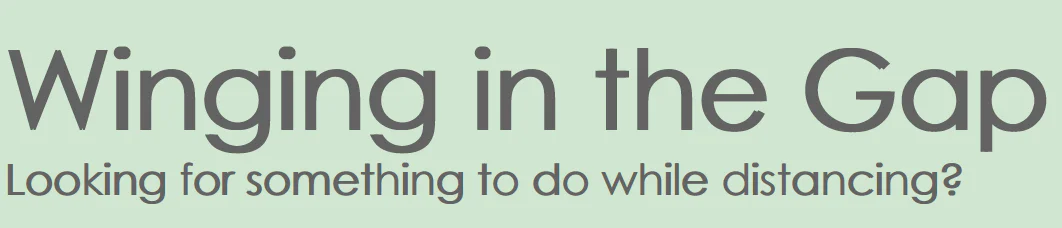 WingingGapTitle Winging the Gap image
