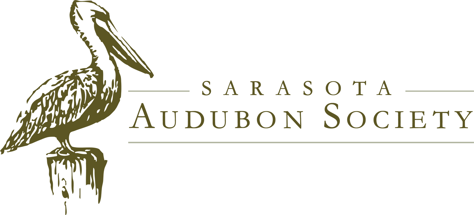 sas-logo-wide