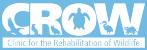 CROW-logo-2