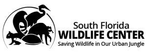 SFWC_Logo-2020final
