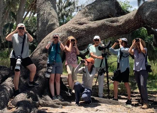 Banner with Oak and binoculars 5-2024 Group of birders with binoculars and scope in front of an ancient oak tree