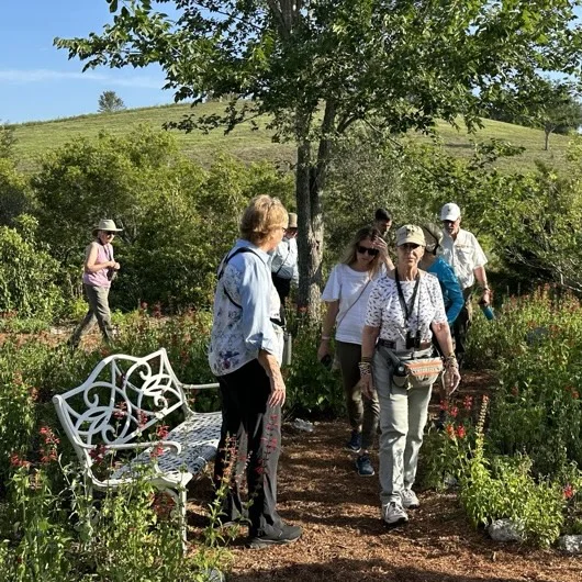 binocs in garden