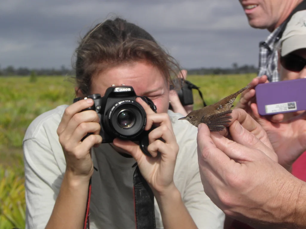 Bird Photography duette 2014
