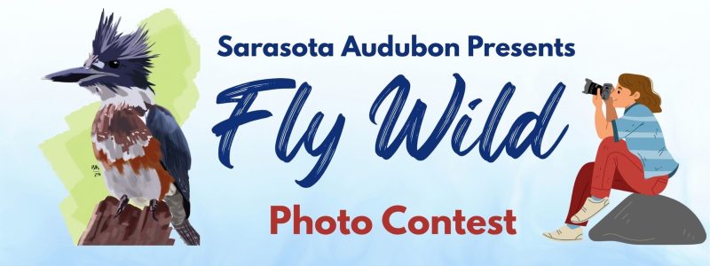 Photo Contest Fly Wild - 1 Photo Contest Fly Wild - 1