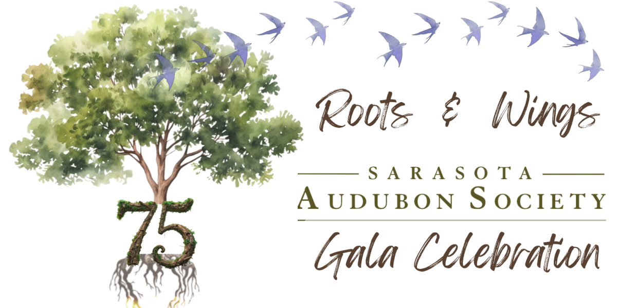 Gala Roots & Wings Banner Gala Roots & Wings Banner